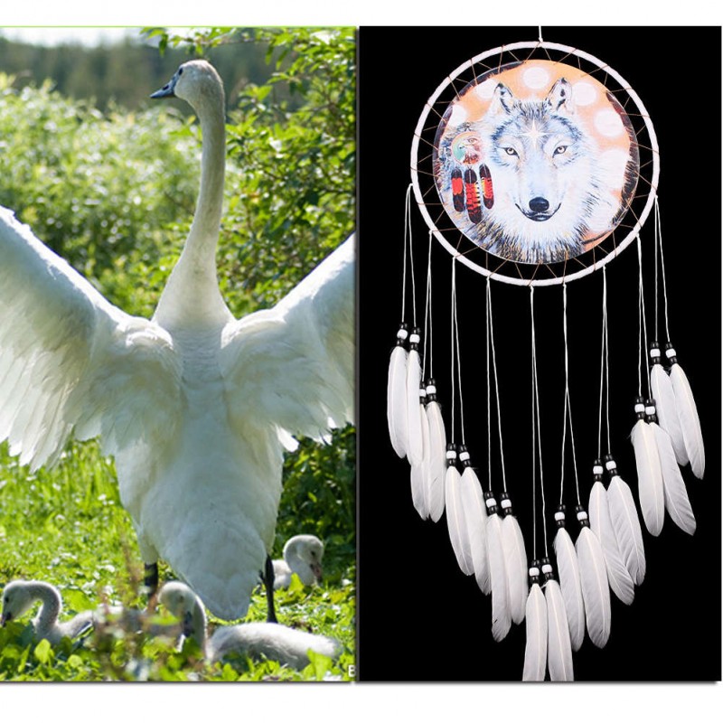 Wolf Printed Dream Catcher Net Feather Bead Dreamcatcher Hanging Ornament