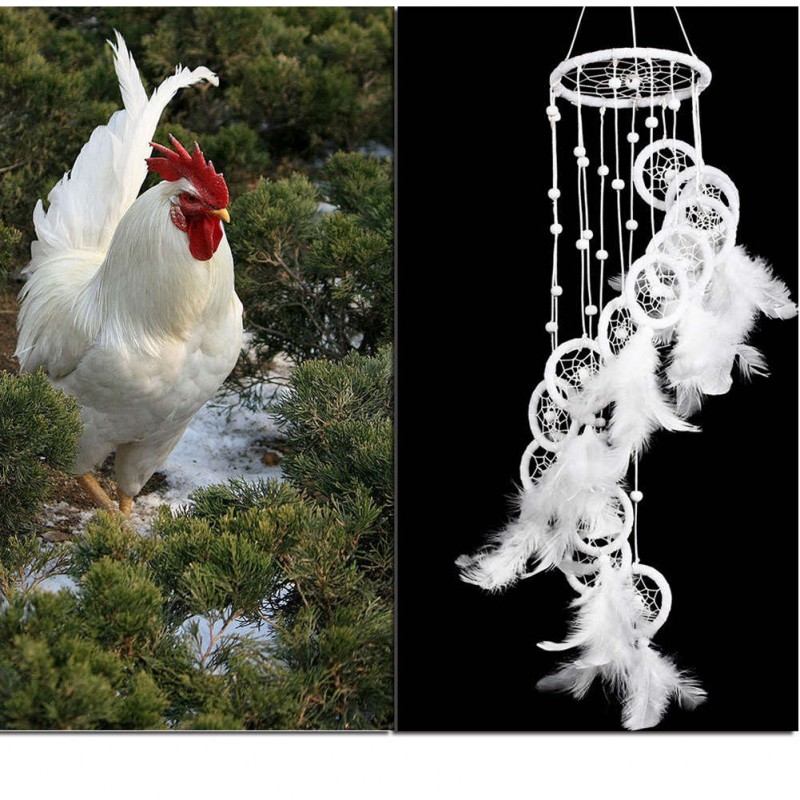 White Polycyclic Dream Catcher Feathers  Wall Hanging Home Car Decor