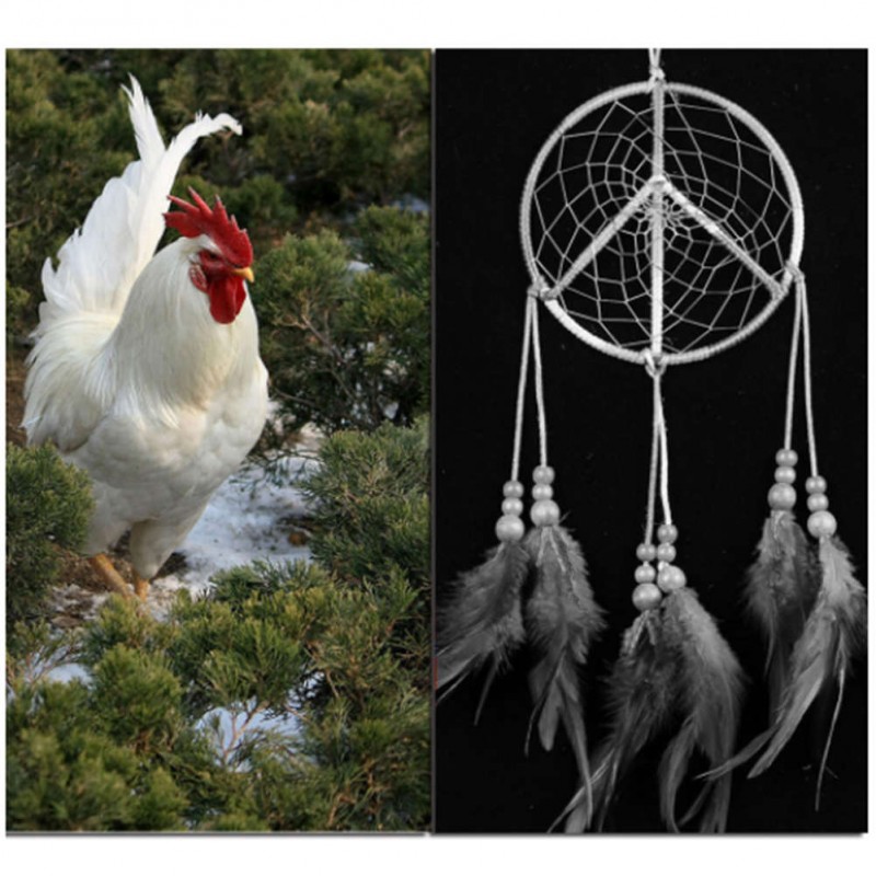White Feather Dream Catcher Feather Car Wall Hanging Decor Craft